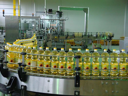 Edible Oils